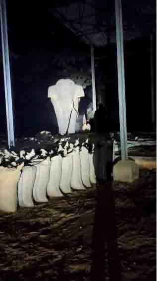 धान खरीदी केंद्र में फिर हाथी की दस्तक