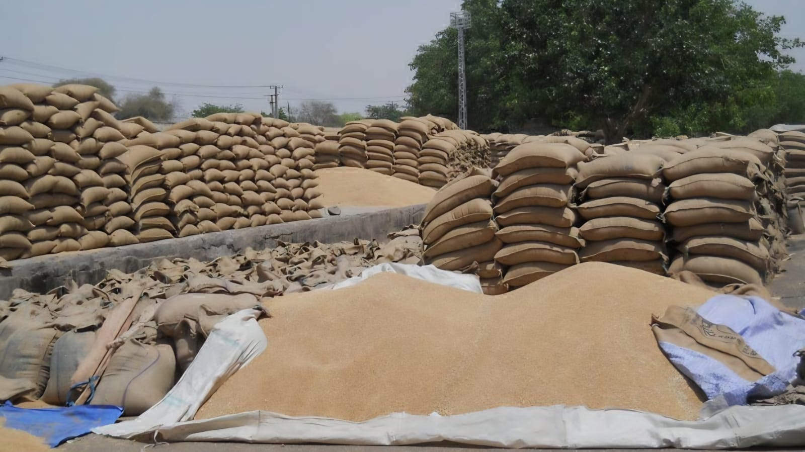 धान खरीदी में ऑनलाइन टोकन बनी मुसीबत,  अव्यवस्था से किसान परेशान