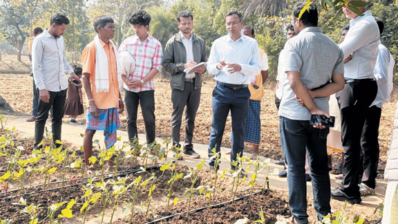 जैविक उत्पादों का हो मूल्य संवर्धन-कलेक्टर