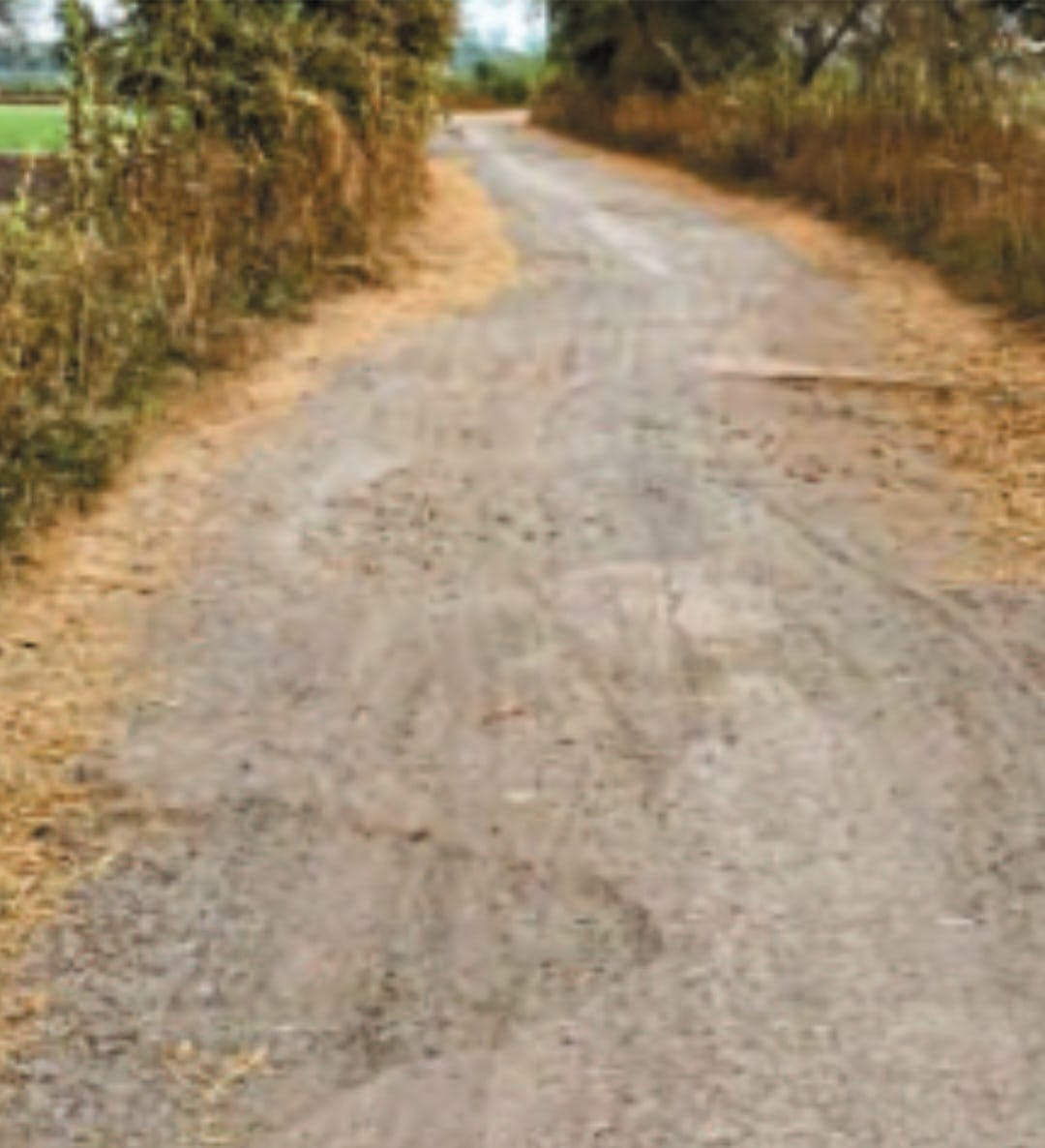 मुख्यमंत्री ग्राम सडक़ योजना, बेमेतरा नई स्वीकृति नहीं