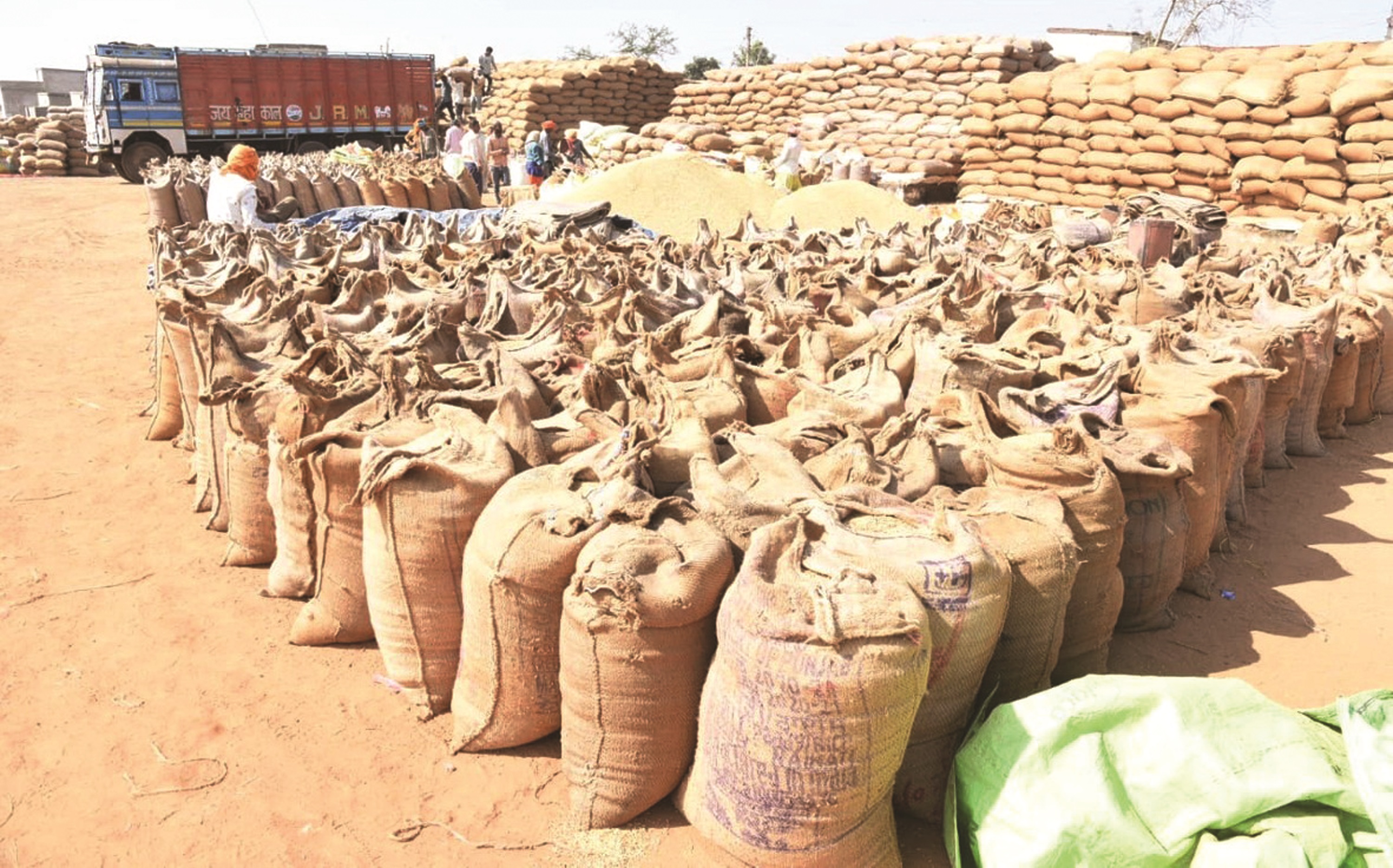 अब तक ढाई लाख टन से अधिक धान की खरीदी