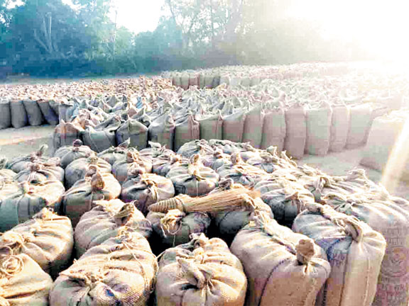 केन्द्रों में देरी से पहुंचने पर धान खरीदी से इंकार, किसान नाराज