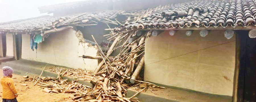 बलरामपुर: आनंदपुर में हाथी का उत्पात, 6 घर क्षतिग्रस्त, ग्रामीण दहशत में