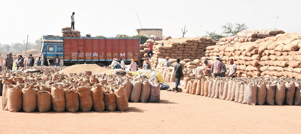 उपार्जन केन्द्रों से धान के उठाव में आई तेजी, एक लाख टन धान का हो चुका है उठाव