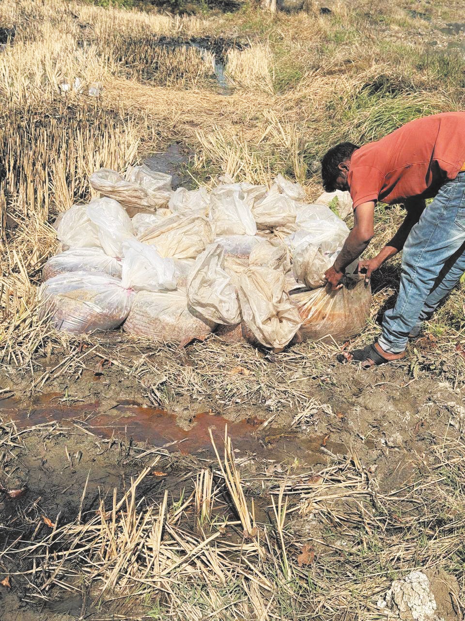अवैध महुआ शराब का नष्टीकरण  