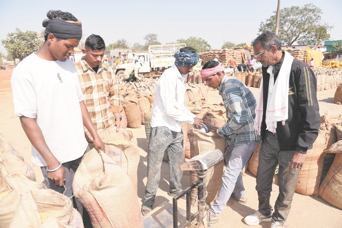 अब तक 3,59,944.16 मे. टन धान खरीदी गई