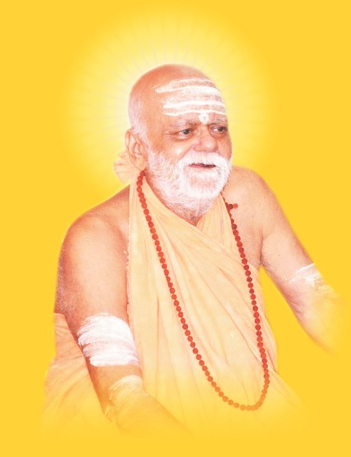 शंकराचार्य स्वामी श्रीनिश्चलानंद सरस्वती का नांदगांव प्रवास