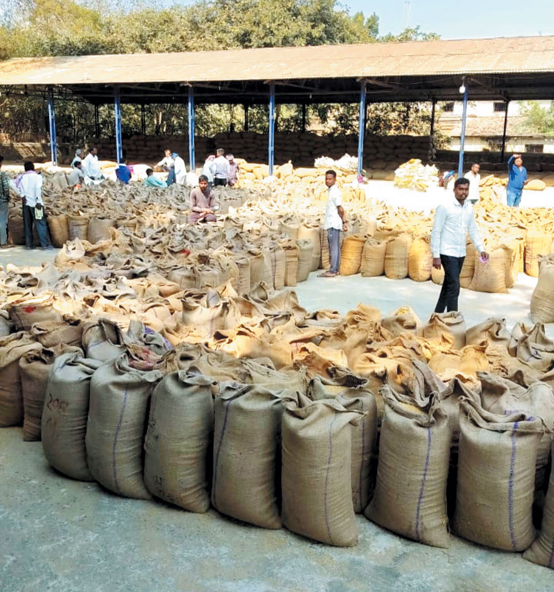 टोकन कटना बंद, 22 हजार क्विंटल धान अधर में...