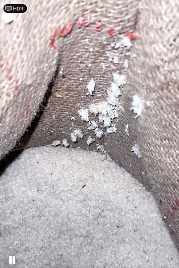 चावल में फफूंद, गोदाम प्रभारी निलंबित