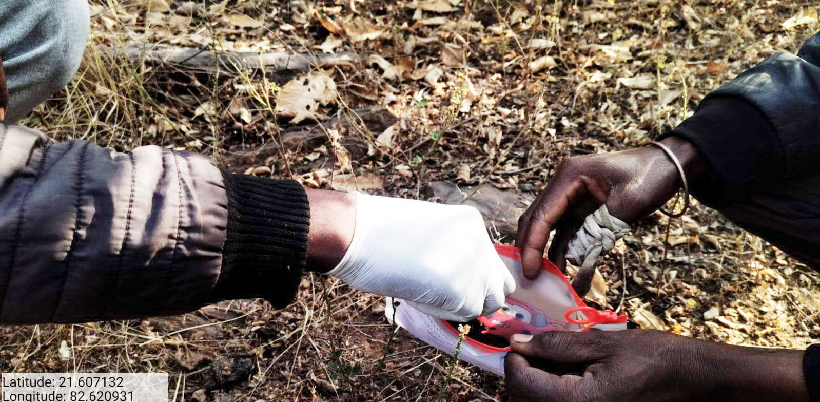 अखिल भारतीय बाघ आंकलन शुरु