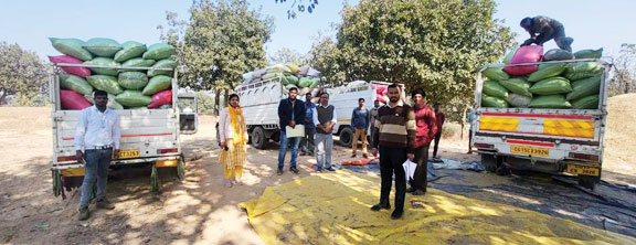 धान घोटाले की आशंका पर कलेक्टर सख्त, उठाव पर पूर्ण रोक