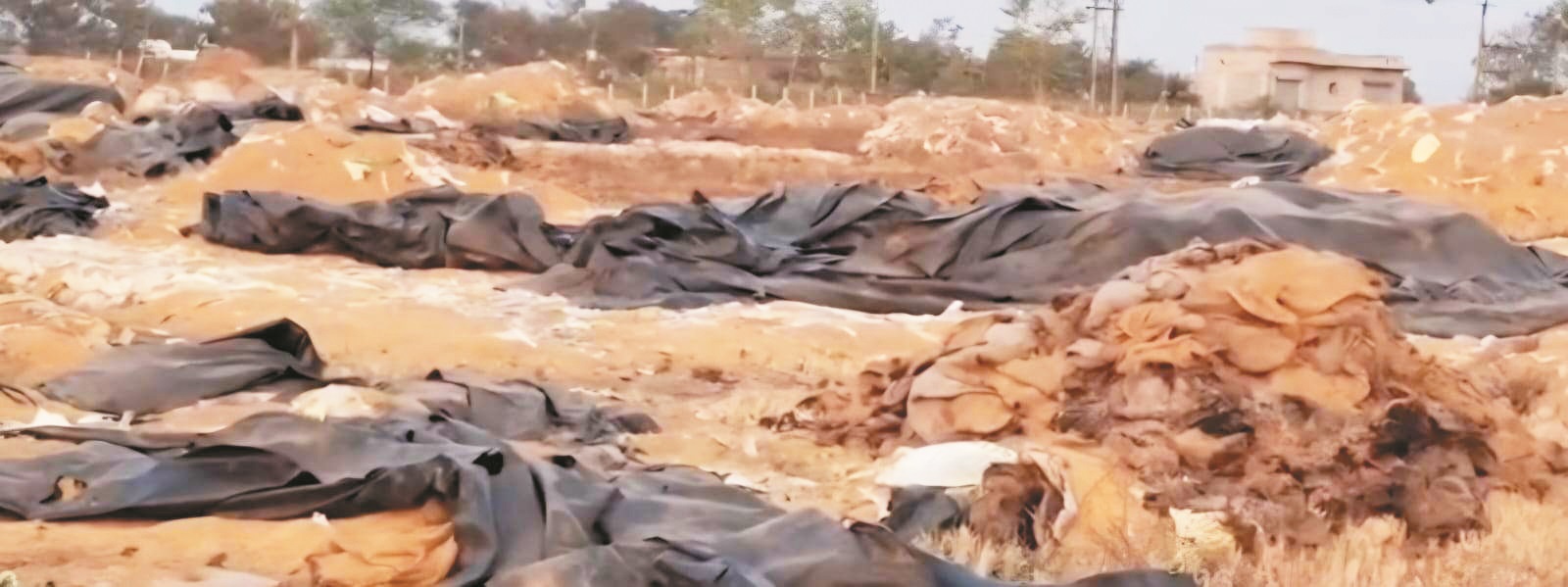 सरदा-लेंजवारा धान संग्रहण केंद्र में 17 करोड़ के धान की कमी, केंद्र प्रभारी निलंबित