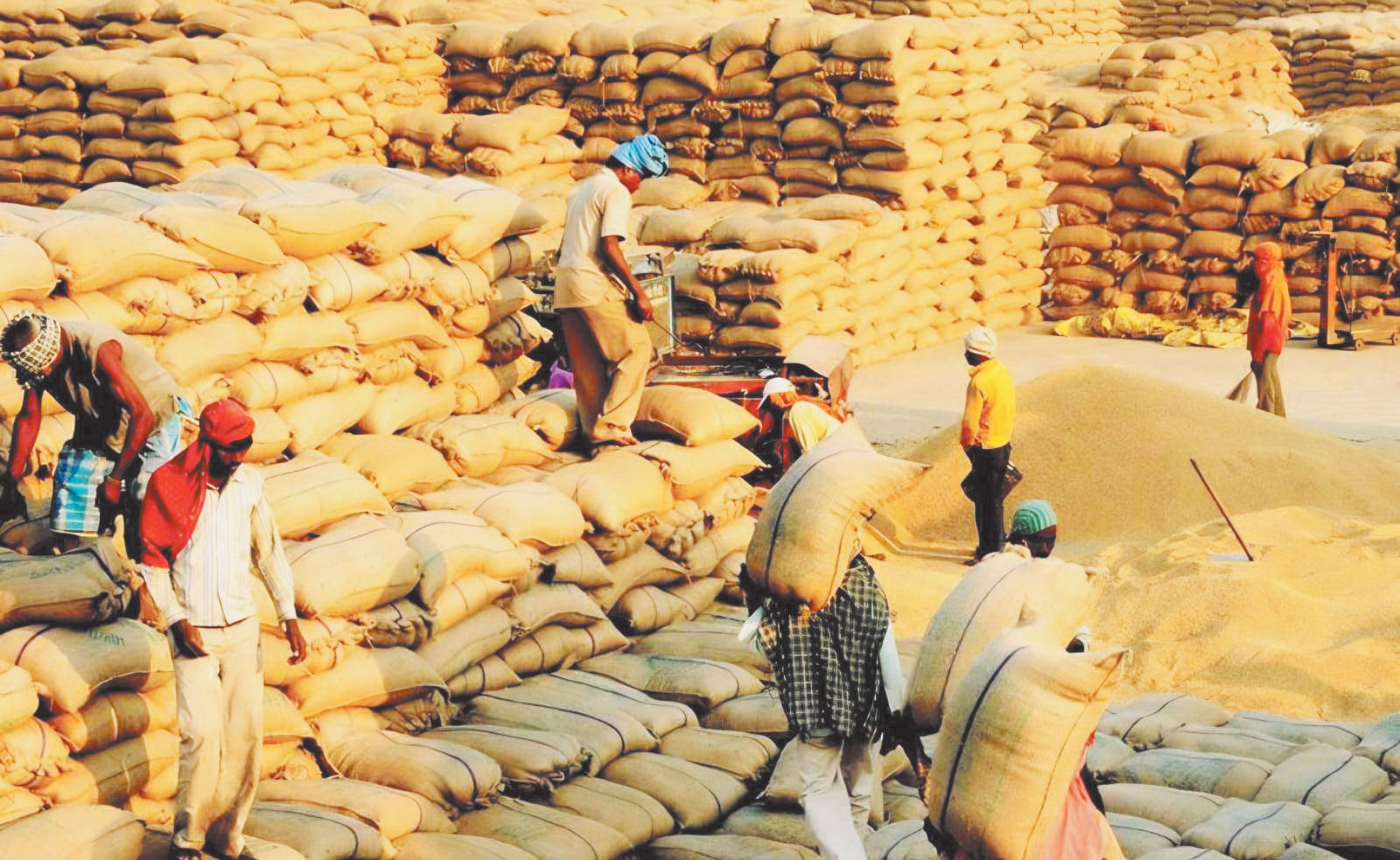 गेटपास ऐप बंद होने से धान उठाव प्रभावित