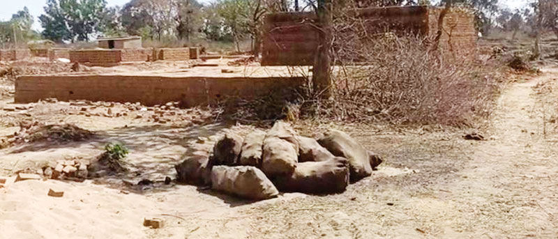 अमेरा-रेहर खदान में कोयला चोरी के आरोप, ईंट भ_ों में खपाने की खबर