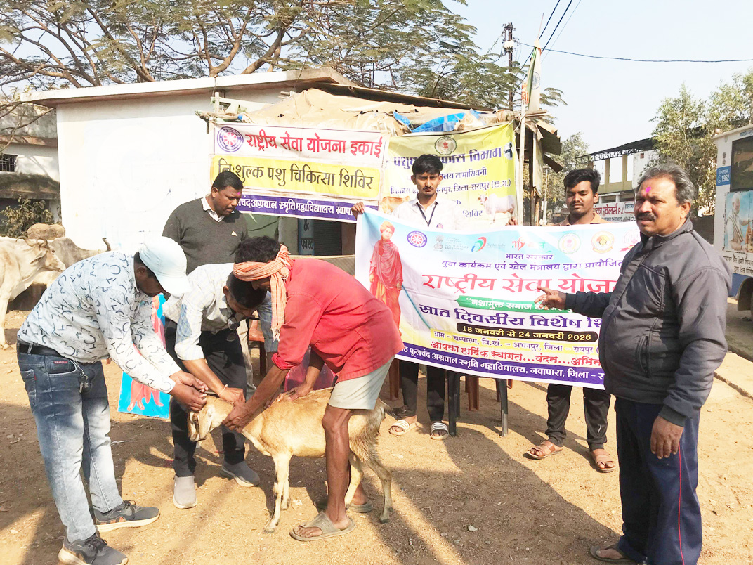 चंपारण में रासेयो के जरिए  211 पशुओं का उपचार