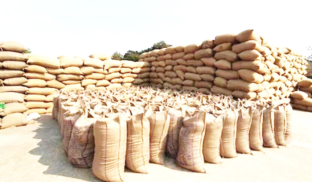 धान खरीदी के अंतिम दिनों में व्यवस्थागत बदलाव, उठाव पर रोक