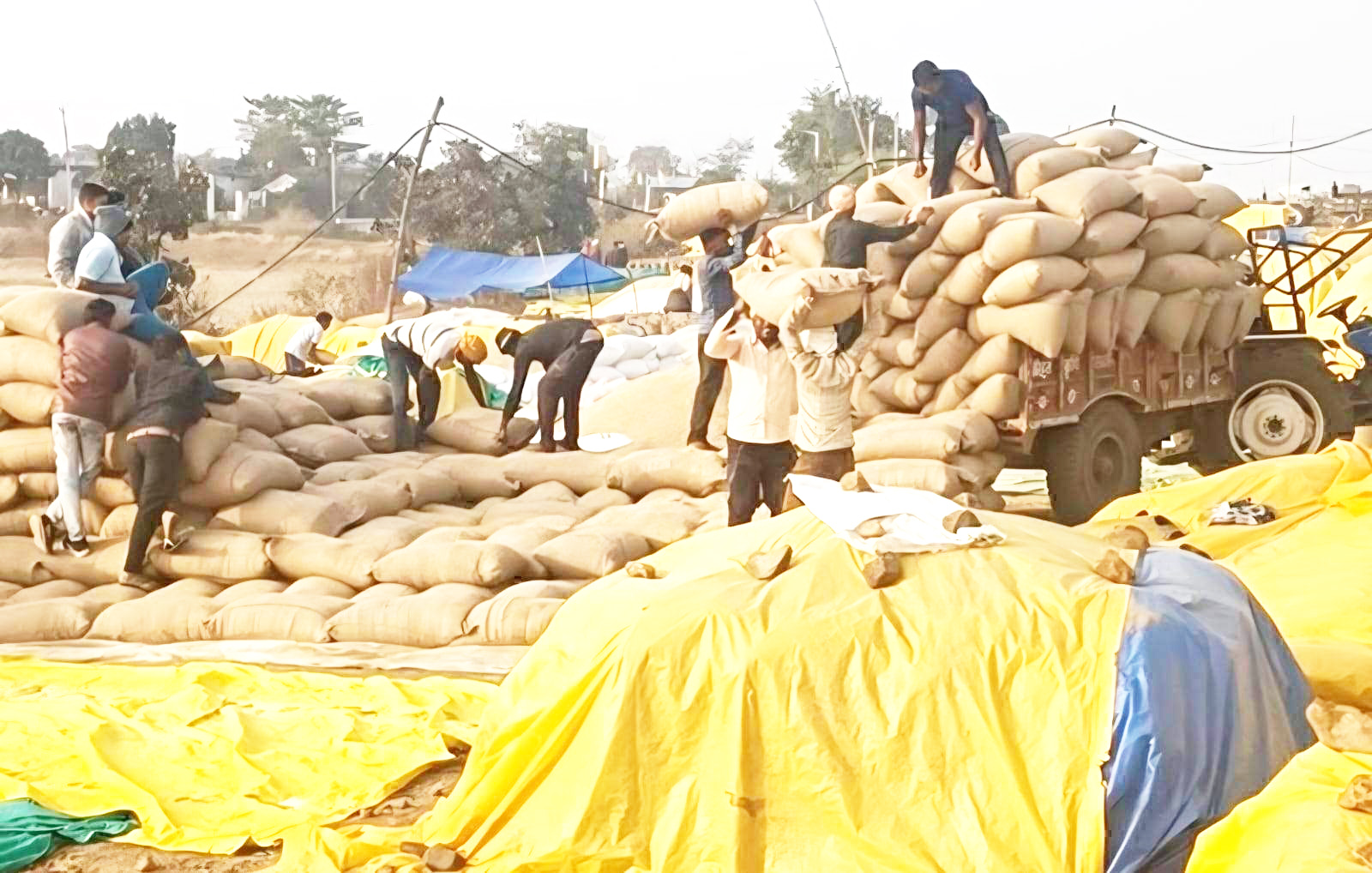 तीन दिनों में 92 हजार टन धान खरीदी के लिए टोकन जारी