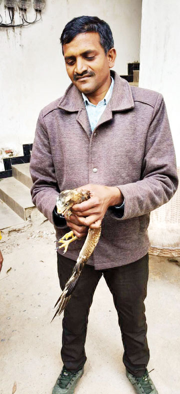 विलुप्तप्राय गिद्ध का बच्चा मिला