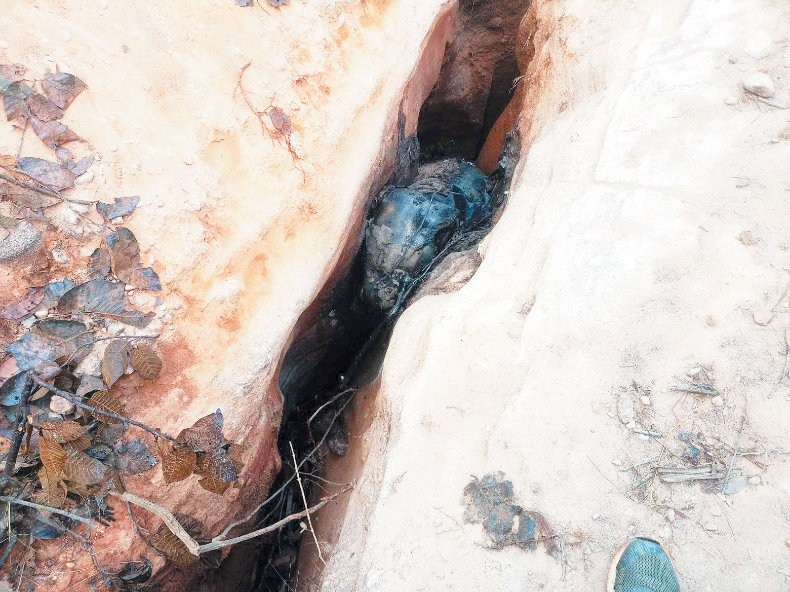 ढलान से गिरकर हाथी के बच्चे की मौत