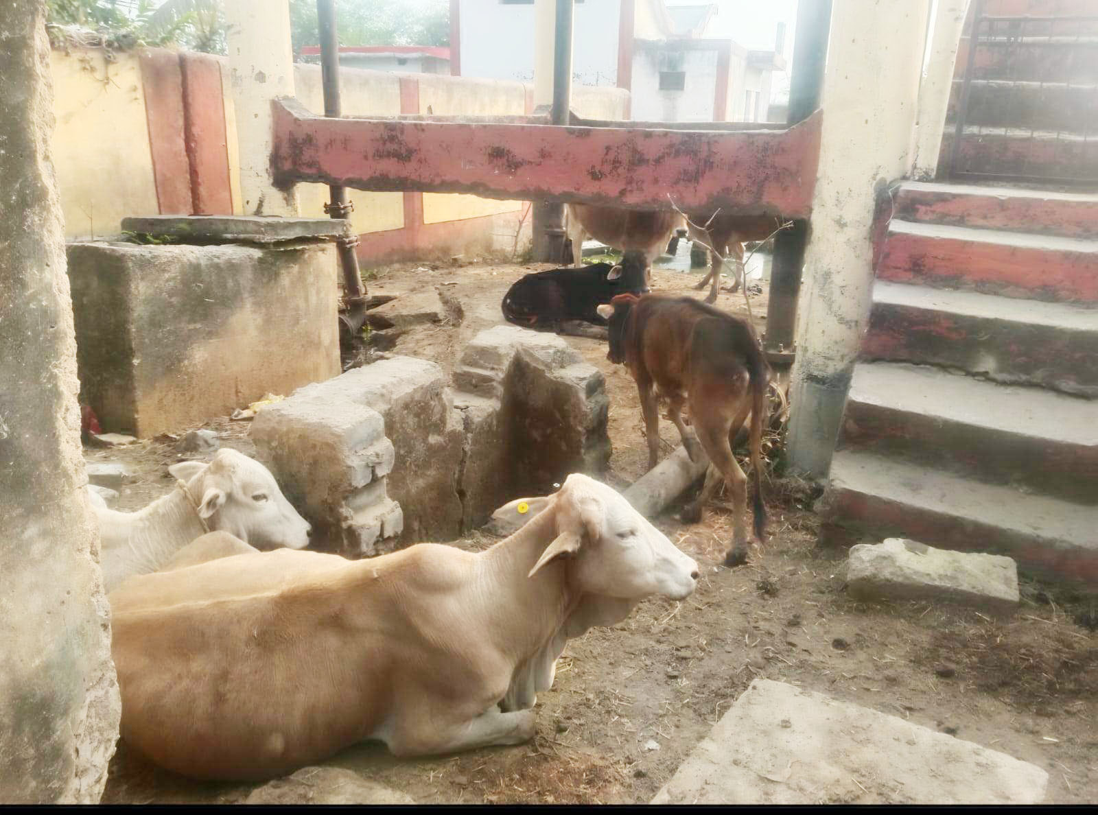 भूमिपूजन के बाद काम बंद, लोकार्पण   के बाद टपकने लगी टंकी