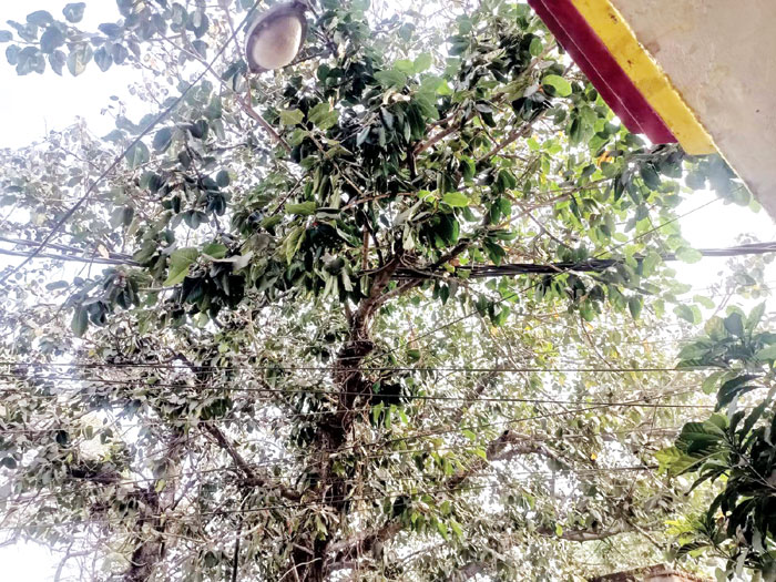 यह कैसा मेंटेनेंस