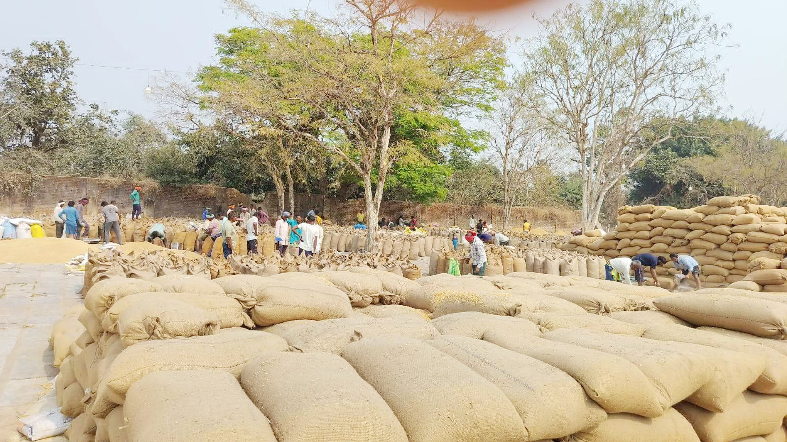 दो दिन और होगी धान खरीदी, समितियों में बढ़ी किसानों की भीड़