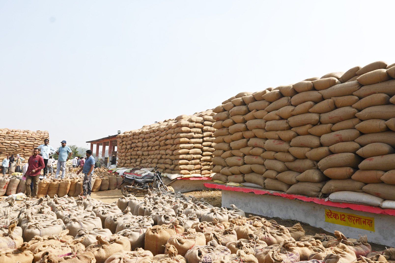 1304 किसानों से 9882 टन धान की खरीदी