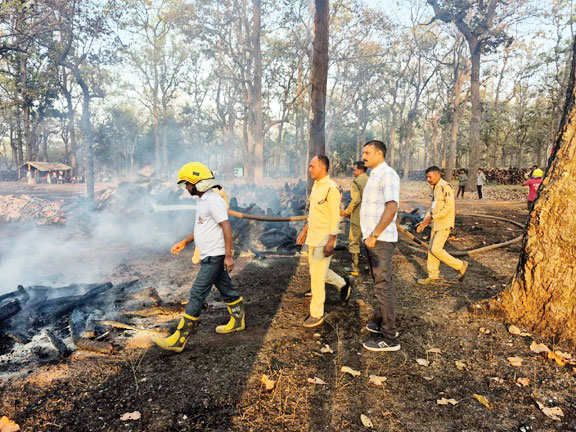 सरगीपाल लकड़ी डिपो में लगी आग, काबू