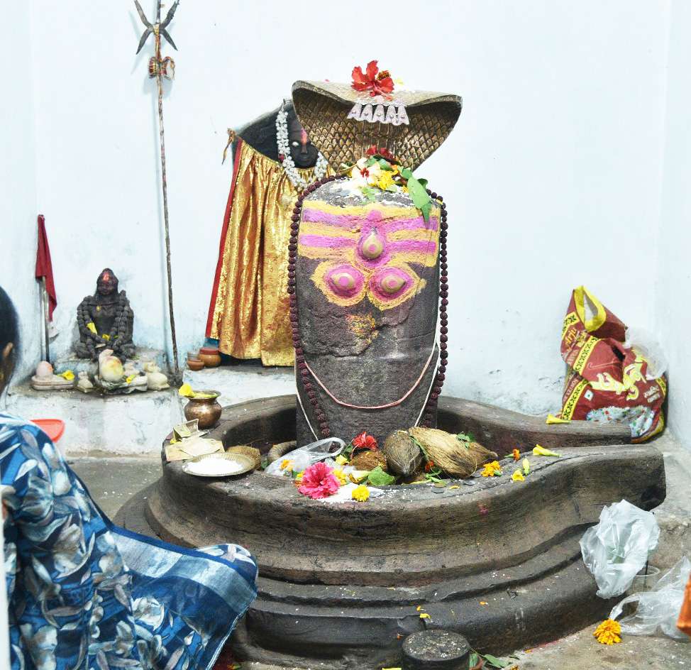 महाशिवरात्रि: राजिम के भूतेश्वरनाथ महादेव दर्शन के लिए उमड़े श्रद्धालु