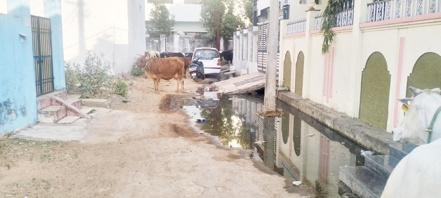 निकासी बंद होने से मार्ग पर जलभराव, मोहल्लेवासियों की बढ़ी परेशानी