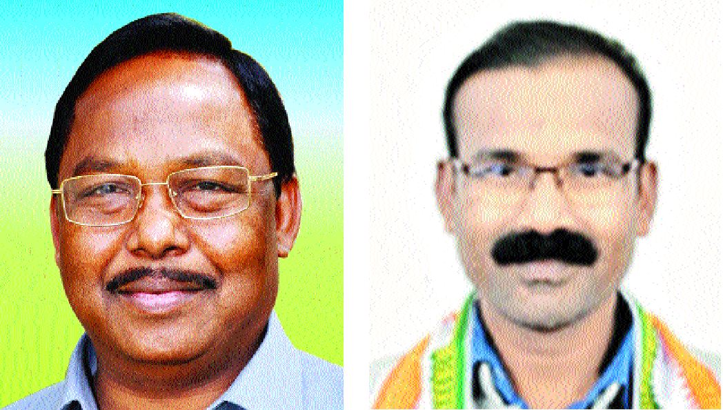 प्रदेश में 1.89 लाख घुमंतू पशु, संचालित 3 गौ अभ्यारण्य में 620 रखे गए!