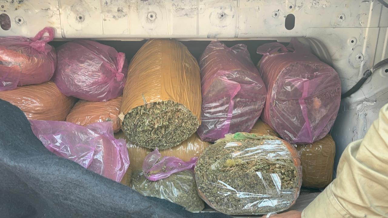 1.37 करोड़ का गांजा जब्त, एमपी का एक आरोपी गिरफ्तार