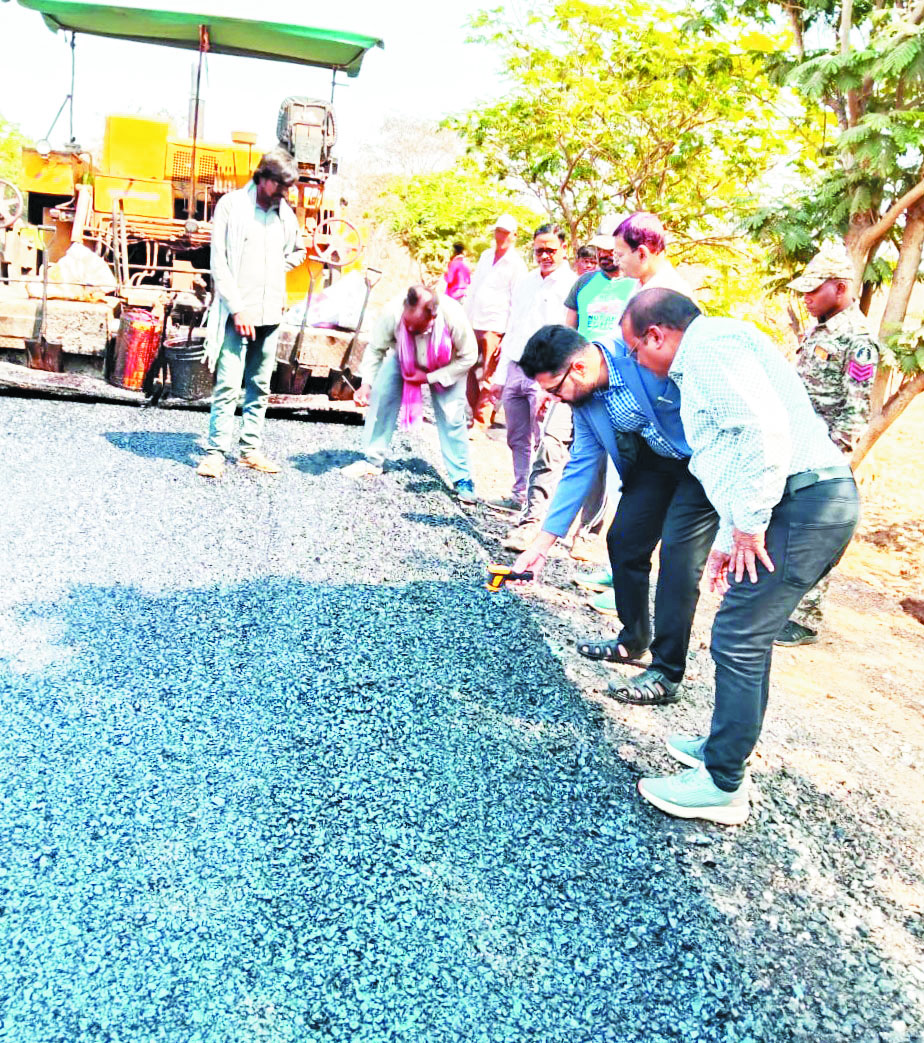 कलेक्टर ने सडक़  का किया निरीक्षण