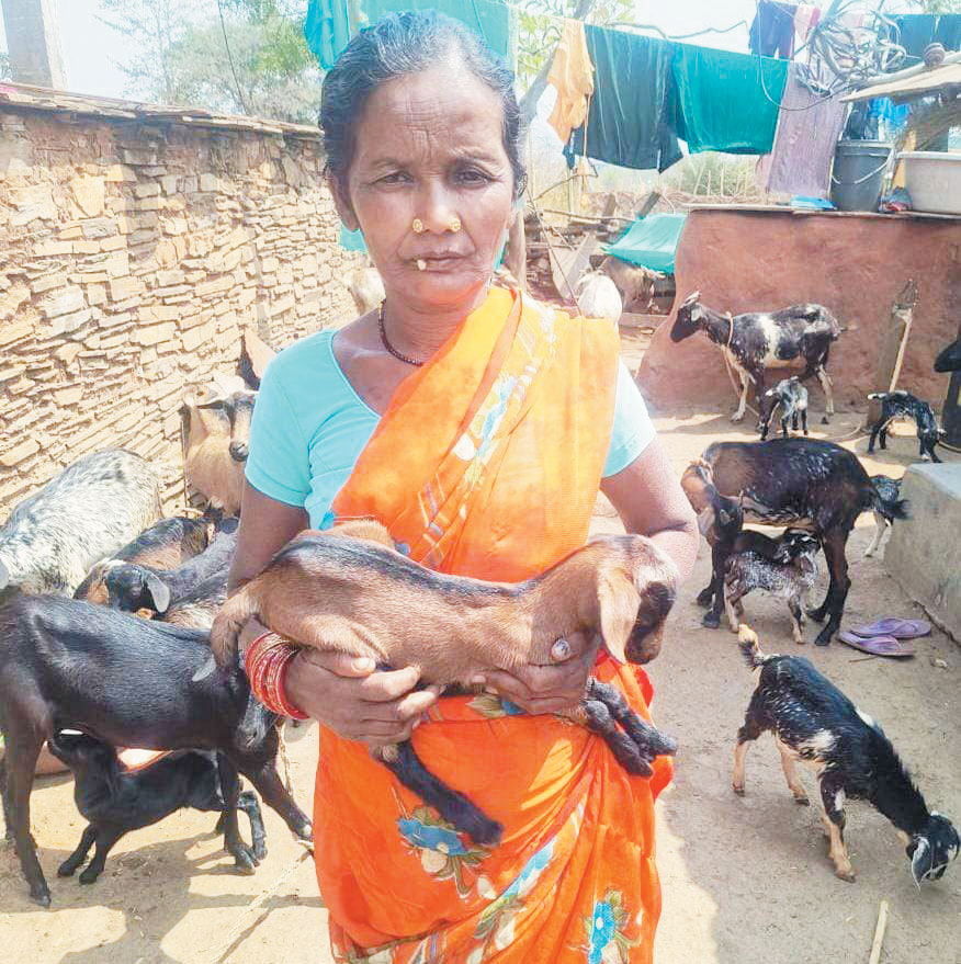 संघर्षों को मात दे, मजदूरी छोड़ दशमी बनीं लखपति दीदी