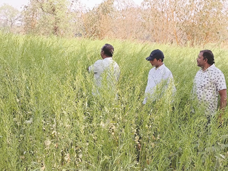 दुर्ग के सभी कृषि फार्मों की जांच