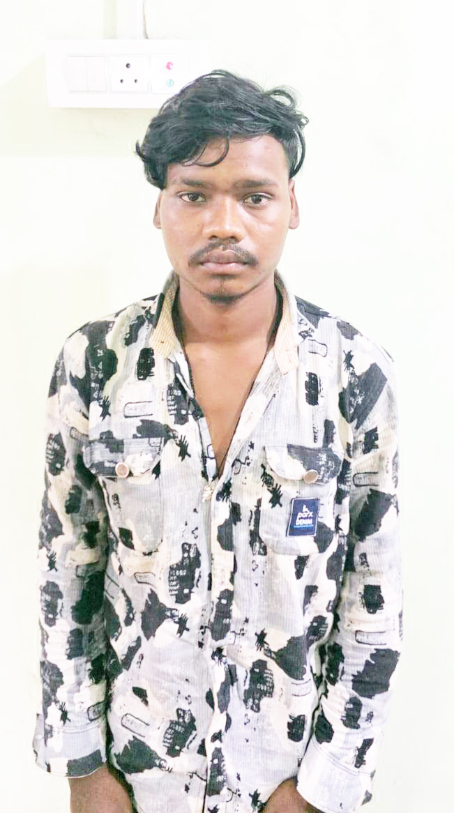 नाबालिग बालिका से छेडख़ानी, आरोपी गिरफ्तार