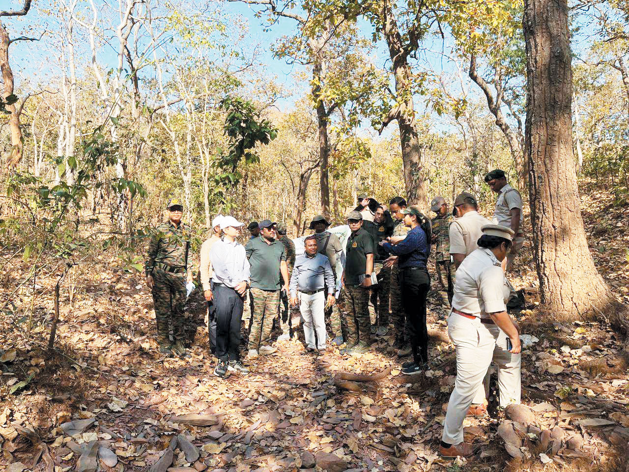 कवर्धा वनमंडल में 33 प्रोबेशनर्स अफसरों का दो दिवसीय प्रशिक्षण भ्रमण