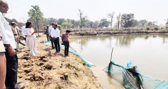 उद्यानिकी एवं मत्स्य विभाग की योजनाओं के क्रियान्वयन का अवलोकन
