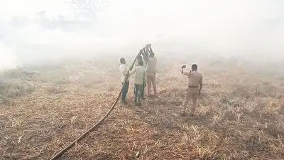  सडक़ किनारे कई अवैध ईंट भ_े, आस-पास के इलाकों में आगजनी का कारण बन रहे