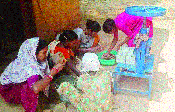 इमली प्रसंस्करण से आत्मनिर्भरता की नई इबारत