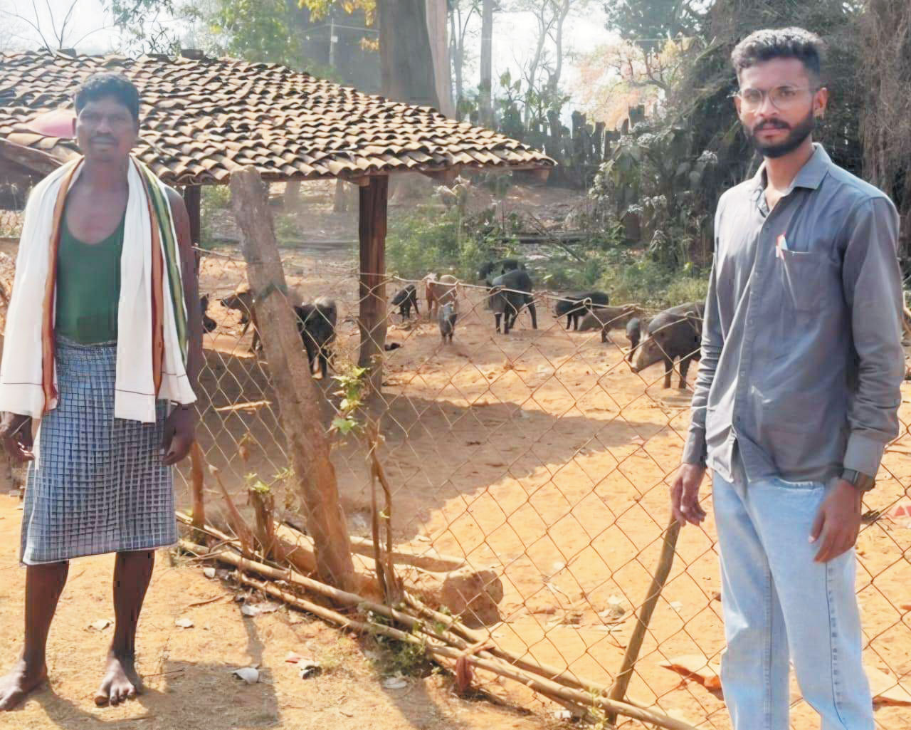 वैज्ञानिक पद्धति से सूकर पालन कर आत्मनिर्भर बनेंगे किसान