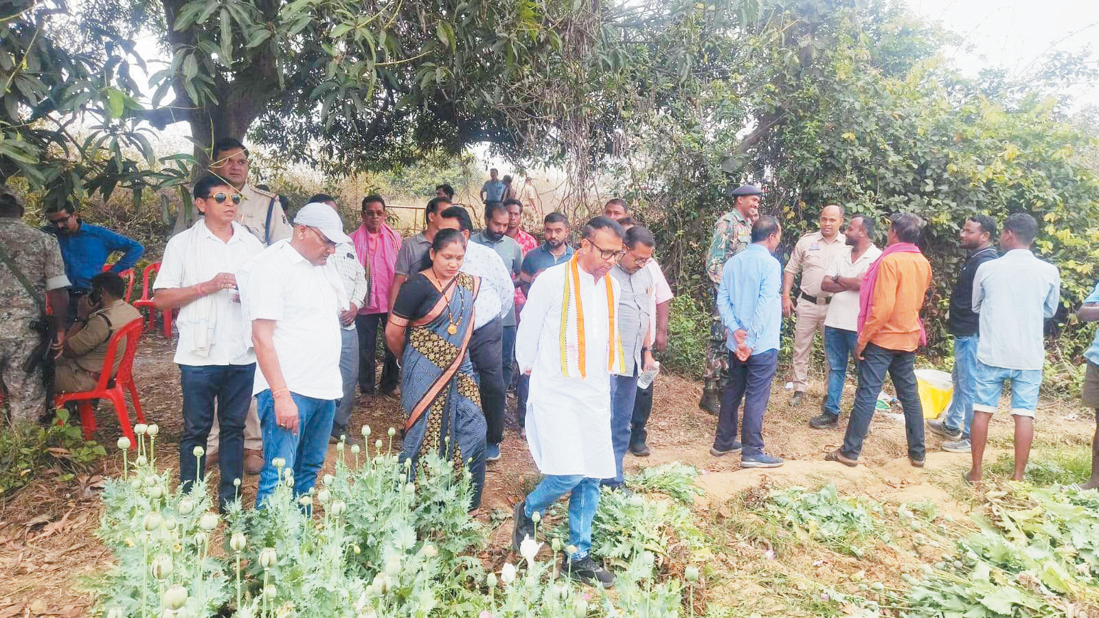 अफीम की खेती देखने तमनार पहुंचा, कांग्रेस का प्रतिनिधिमंडल