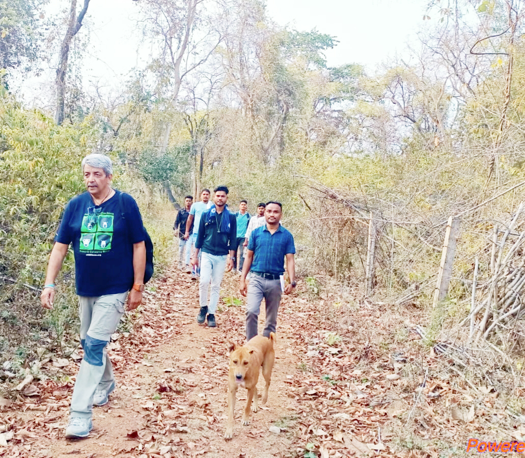 आईटीआर के ग्रामीणों ने ताडोबा में सीखे ईको टूरिज्म के गुर