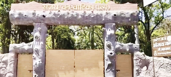 संजय पार्क में 15 हिरणों की मौत के बाद अब एक हिरण फरार