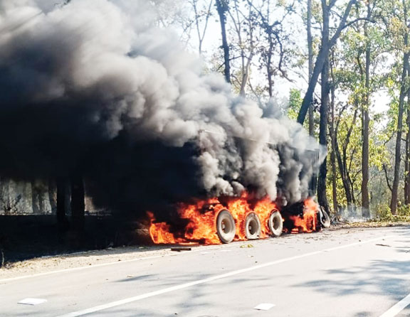रफ्तार ट्रेलर पेड़ से टकराया, लगी आग