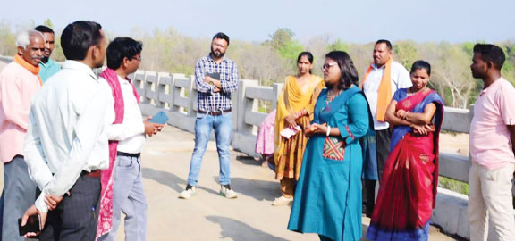 कलेक्टर ने निर्माणाधीन सडक़ - पुल का किया निरीक्षण