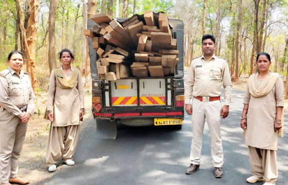  1.35 लाख की अवैध लकड़ी जब्त