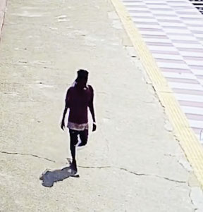 12 पसलियां टूटीं, दिल-फेफड़े फटे, सिर की 3 हड्डियां भी टूटी