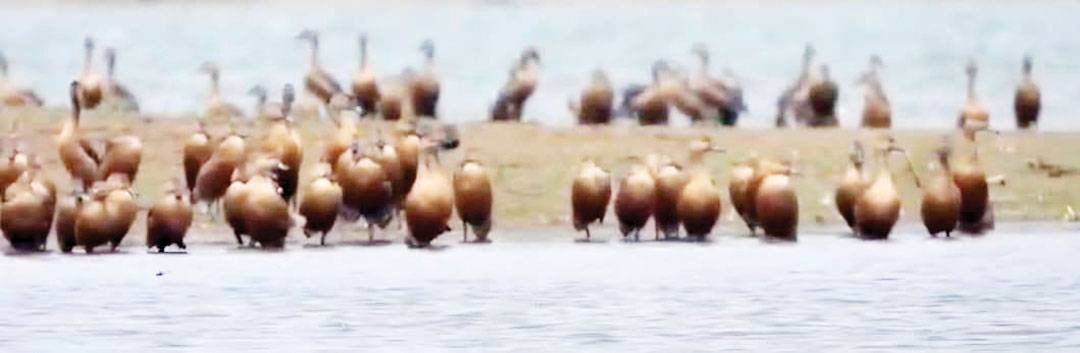 मसोरा जलाशय बनेगा पर्यटन का नया केंद्र