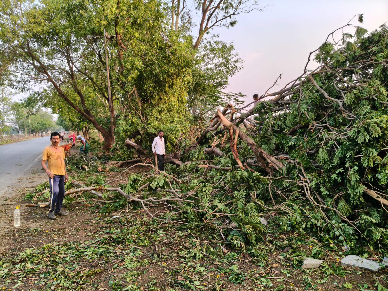 गरज के साथ बारिश, आंधी से पेड़-खंभे गिरे, जनजीवन अस्त-व्यस्त
